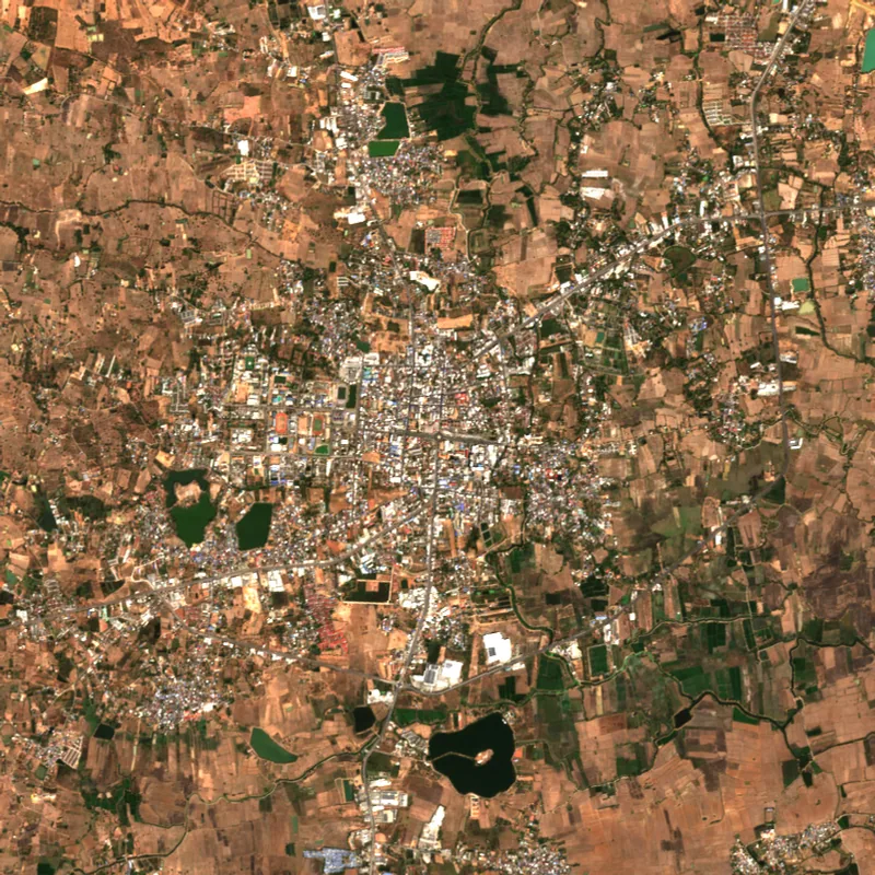 Latest Sentinel-2 image of Chaiyaphum, 14 Feb 2025